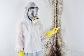 Best Commercial Mold Inspection  in Washington, IL